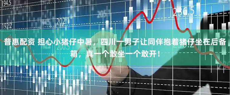 普惠配资 担心小猪仔中暑，四川一男子让同伴抱着猪仔坐在后备箱，真一个敢坐一个敢开！