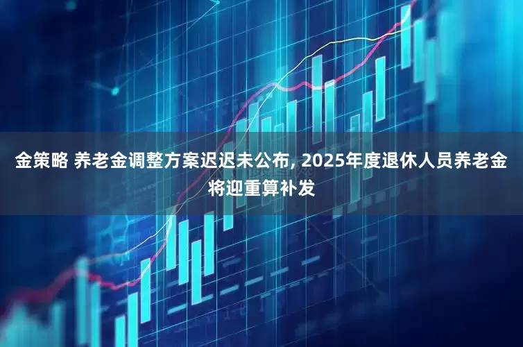 金策略 养老金调整方案迟迟未公布, 2025年度退休人员养老金将迎重算补发