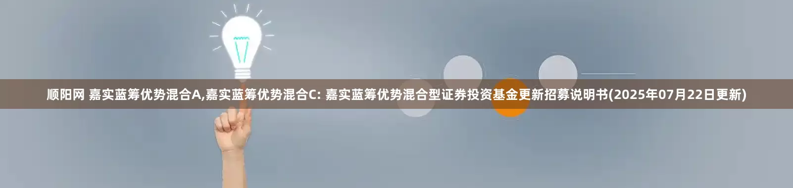 顺阳网 嘉实蓝筹优势混合A,嘉实蓝筹优势混合C: 嘉实蓝筹优势混合型证券投资基金更新招募说明书(2025年07月22日更新)