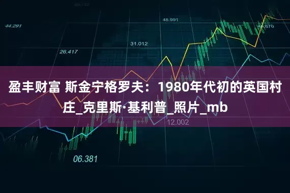 盈丰财富 斯金宁格罗夫：1980年代初的英国村庄_克里斯·基利普_照片_mb